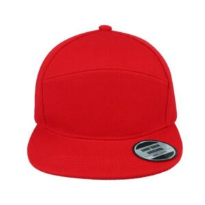 Horizon Snapback